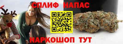 прущие грибы Волгодонск